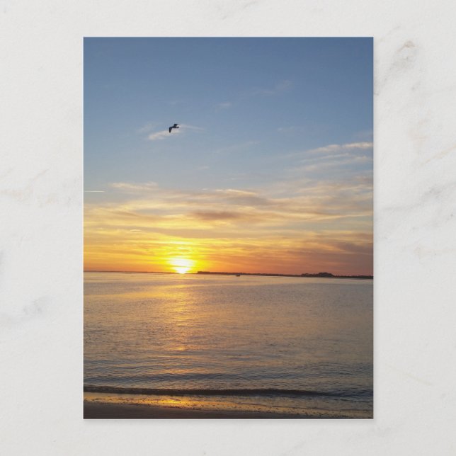 Cartes Pour Fêtes Annuelles Coucher de soleil à Thanksgiving. (Devant)