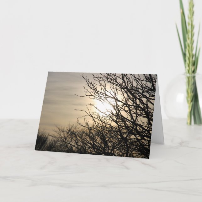 Cartes Pour Fêtes Annuelles Coucher du soleil à Dighty Burn (Devant)