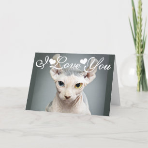 Cartes Pour Fêtes Annuelles Could you please provide the German sentence you’d
