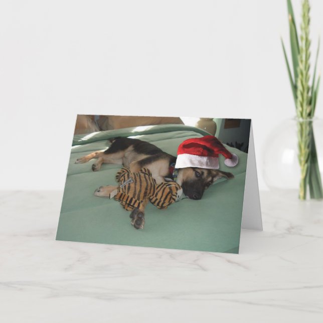 Cartes Pour Fêtes Annuelles Coupe berger allemande avec chapeau de Père Noël (Devant)