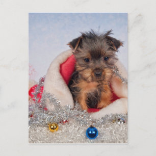 Cartes Pour Fêtes Annuelles Coupe de Noël