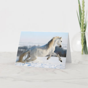 Cartes Pour Fêtes Annuelles Coureur de neige