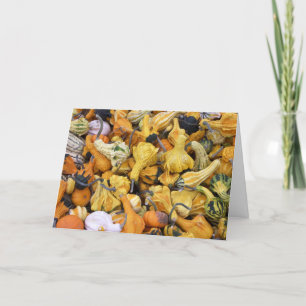 Cartes Pour Fêtes Annuelles Courges de thanksgiving
