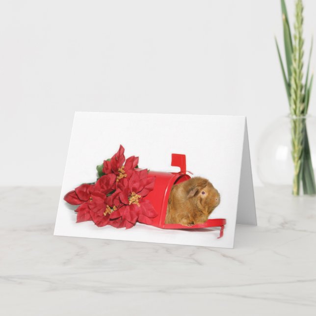 Cartes Pour Fêtes Annuelles Courrier de Noël de cobaye (Devant)