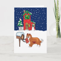 Courrier de Noël de Sheltie