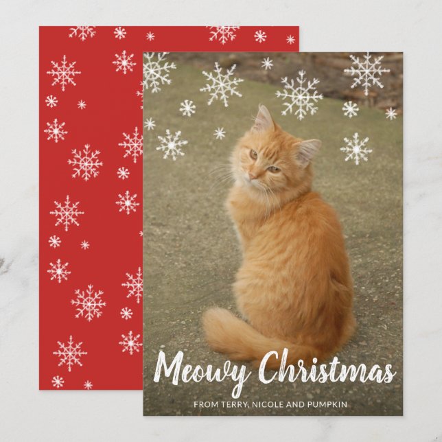 Cartes Pour Fêtes Annuelles Couteau de neige Photo Chat Meowy Noël (Devant / Derrière)