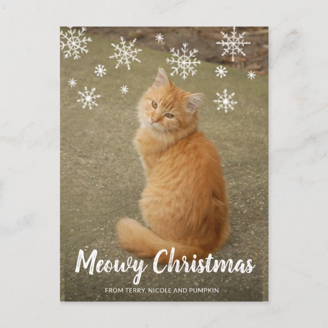 Cartes Pour Fêtes Annuelles Couteau de neige Photo Chat Meowy Noël (Devant)