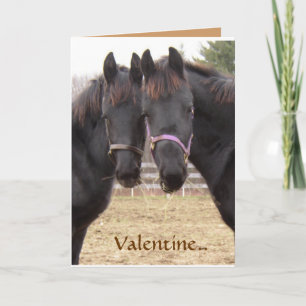 Cartes Pour Fêtes Annuelles Cowboy Valentine
