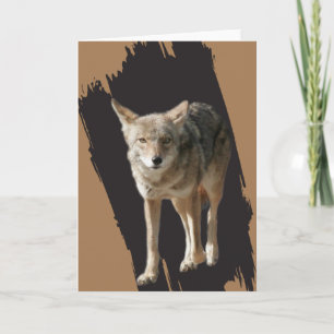 Cartes Pour Fêtes Annuelles Coyote Solitaire