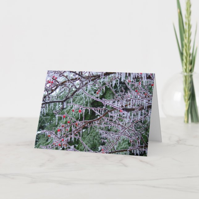 Cartes Pour Fêtes Annuelles Crabelle glacée (Devant)