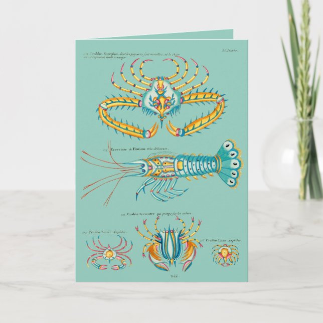 Cartes Pour Fêtes Annuelles Crabes et amis (Devant)