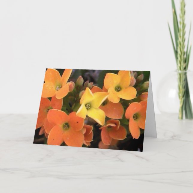 Cartes Pour Fêtes Annuelles créations printanières (Devant)