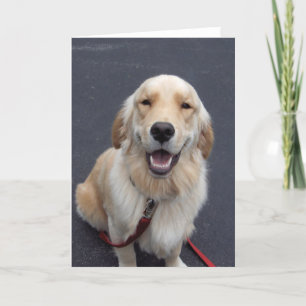 Cartes Pour Fêtes Annuelles Créez vos propres expressions !  Outils faciles à 