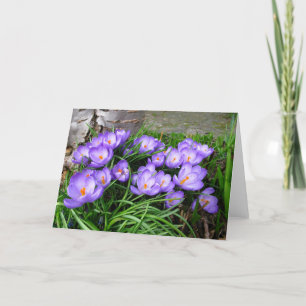Cartes Pour Fêtes Annuelles Crocus printaniers