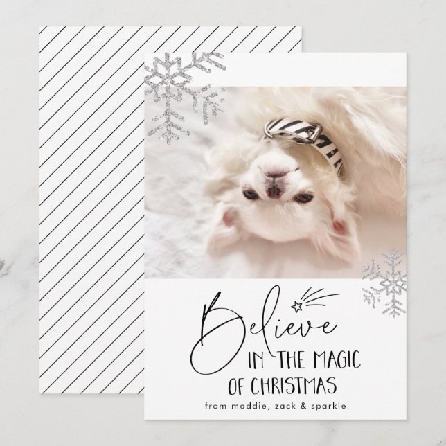 Cartes Pour Fêtes Annuelles Croire | Photo d'animal de compagnie (Devant / Derrière)