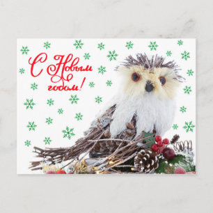 Cartes Pour Fêtes Annuelles Cru sage de hibou de nouvelle année de Noël