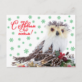 Cartes Pour Fêtes Annuelles Cru sage de hibou de nouvelle année de Noël