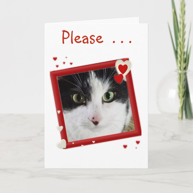 Cartes Pour Fêtes Annuelles Cuisine Kitty Valentine (Devant)