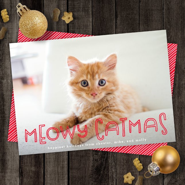 Cartes Pour Fêtes Annuelles Cute Cat Meowy Catmas moderne Noël Une photo (Créateur téléchargé)