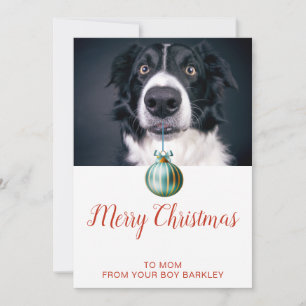 Cartes Pour Fêtes Annuelles Cute Chien Photo Joyeux Noël Maman