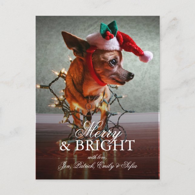 Cartes Pour Fêtes Annuelles Cute Chihuahua With A Santa Hat (Devant)