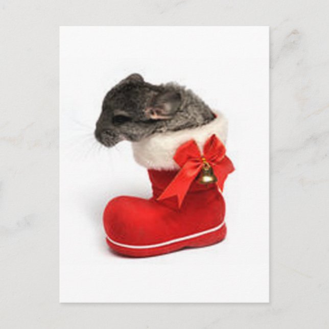 Cartes Pour Fêtes Annuelles Cute Chinchilla de Christmas Stocking (Devant)