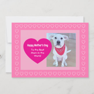 Cartes Pour Fêtes Annuelles Cute Dog Hot Pink One Photo Heart Mother's Day