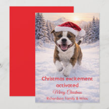 Cute Dog with Christmas Funny Quote | Holiday Card