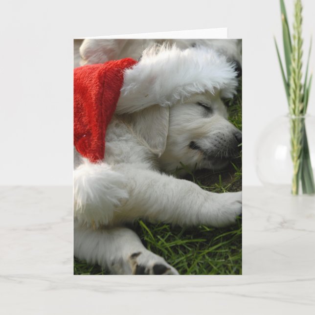 Cartes Pour Fêtes Annuelles Cute labrador puppy with (Devant)