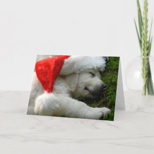 Cartes Pour Fêtes Annuelles Cute labrador puppy with x-mas