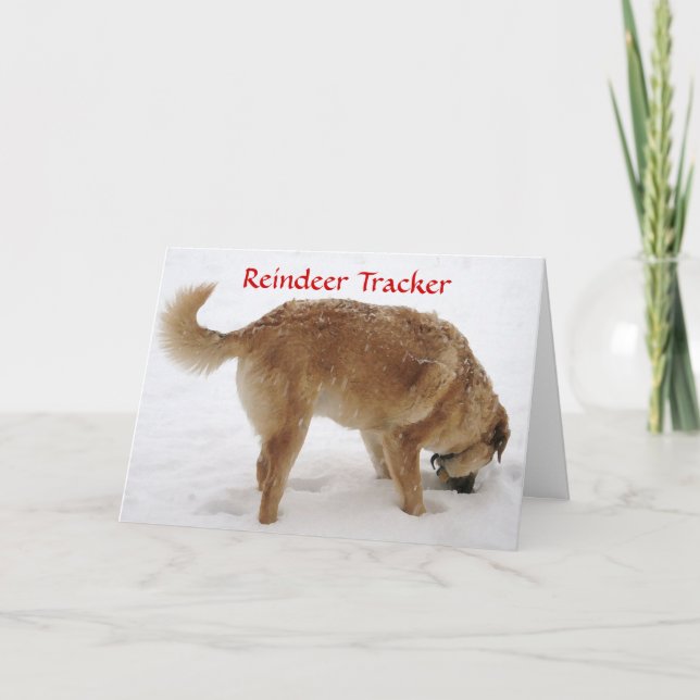Cartes Pour Fêtes Annuelles Cute Père Noël & Reindeer Recherche & Secourir Chi (Devant)
