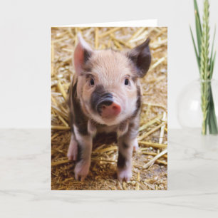 Cartes Pour Fêtes Annuelles Cute Pic