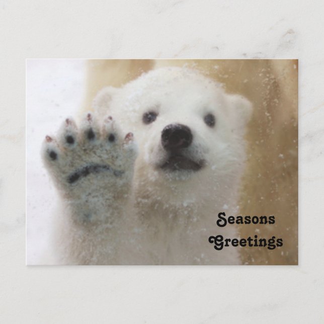 Cartes Pour Fêtes Annuelles Cute Polaire Bear Cub Waving (Devant)
