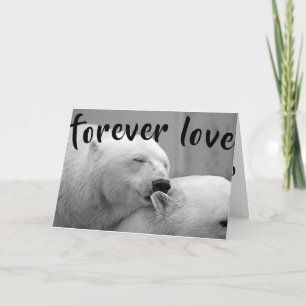 Cartes Pour Fêtes Annuelles Cute Polar Ours Noir Blanc Saint Valentin