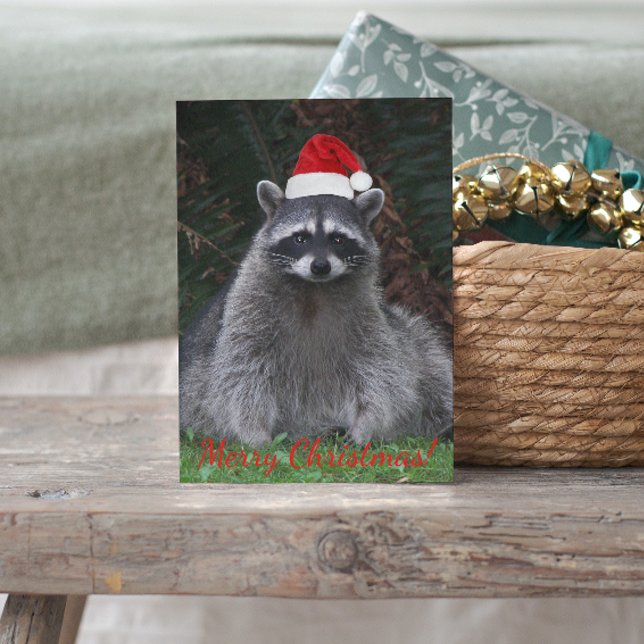 Cartes Pour Fêtes Annuelles Cute Raccoon portant le chapeau rouge Santa (In Situ)