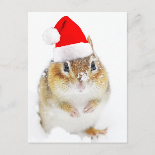 Cartes Pour Fêtes Annuelles Cute Snowy Père Noël Chipmunk (Devant)