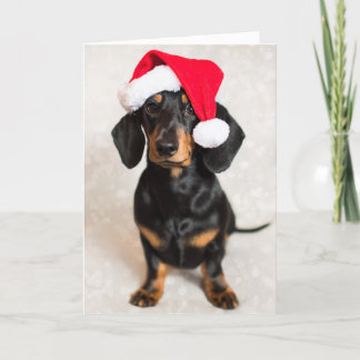 Cartes Pour Fêtes Annuelles Cute Sparkle Dachshund Chiot en Casquette de Noël