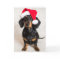 Cute Sparkle Dachshund Chiot en Casquette de Noël