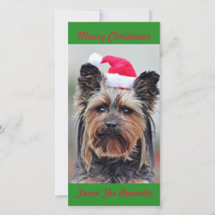 CARTES POUR FÊTES ANNUELLES CUTE YORKIE EN PLAT DE CHAPEAU À SANTA
