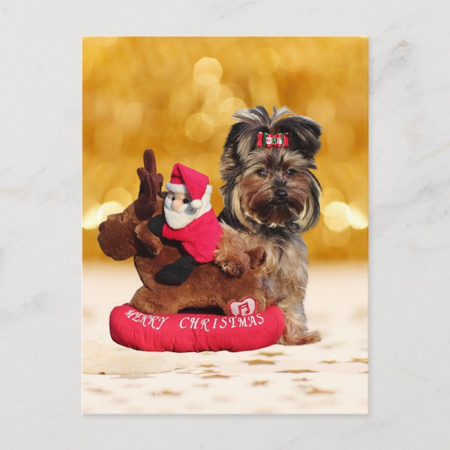 Cartes Pour Fêtes Annuelles Cute Yorkshire Terrier Joyeux Noël (Devant)