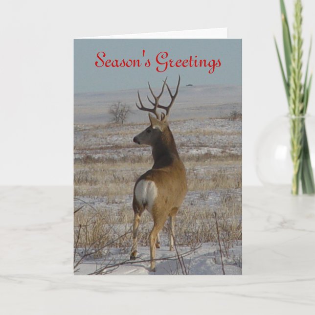 Cartes Pour Fêtes Annuelles D20 Mule Deer Buck dans la neige (Devant)