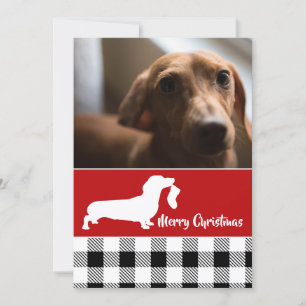 Cartes Pour Fêtes Annuelles Dachshund avec Stocking photo de vacances