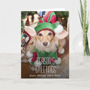 Cartes Pour Fêtes Annuelles Dachshund portant le costume d'elfe père Noël
