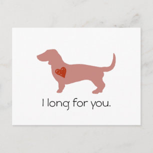 Cartes Pour Fêtes Annuelles Dachshund Saint-Valentin