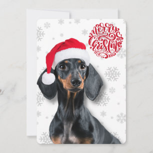 Cartes Pour Fêtes Annuelles Dachshund Teckel Chien Flocon de Neige Noël