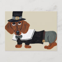Dachshund Thanksgiving Pilgrim