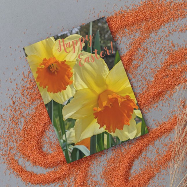 Cartes Pour Fêtes Annuelles Daffodiles orange et jaune Pâques florales (In Situ)