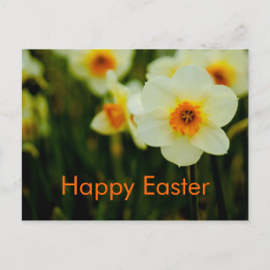 Cartes Pour Fêtes Annuelles Daffodils