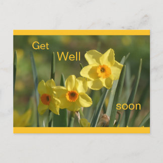 Cartes Pour Fêtes Annuelles Daffodils Yellow Orange Cust. Get Well Postcard