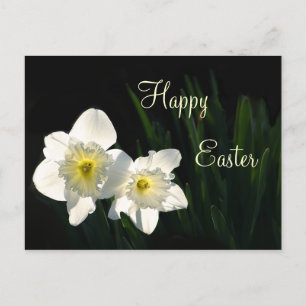 Cartes Pour Fêtes Annuelles Daffodiques de Pâques